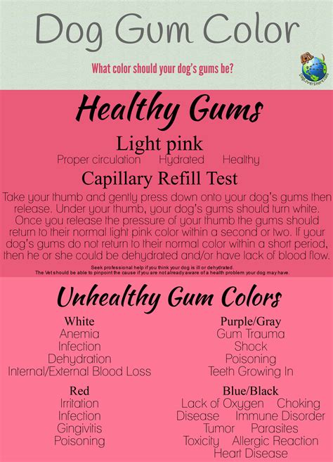 Dog Gum Color What Color Should Your Dogs Gums Be Fishing Buddy