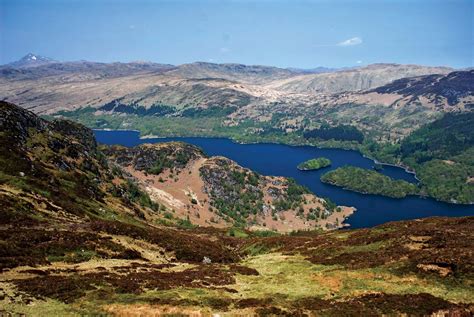 Loch Katrine Highlands Trossachs Wildlife Britannica