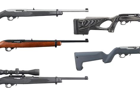 Best Ruger 1022 Models For Hunting Plinking And Beyond Buyers Guide