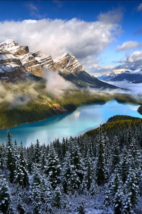 Neige Fraîche Sur Lac Peyto Banff Canada Scenery Beautiful
