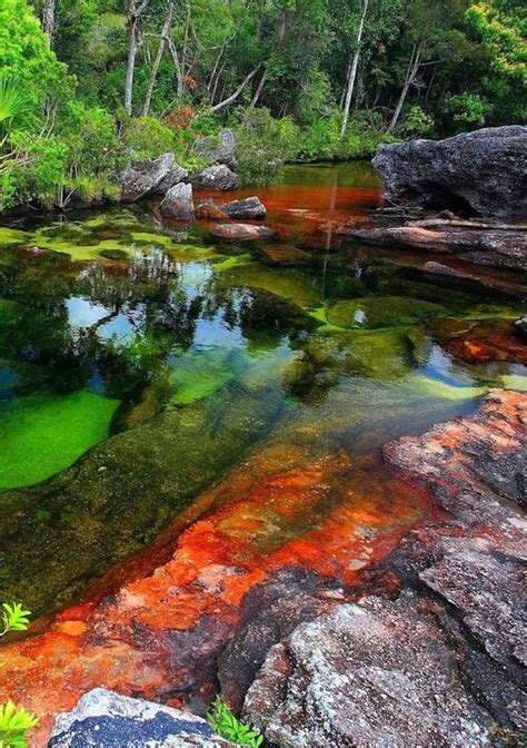 Caño Cristales Amazing Rainbow River In Colombia All Nature Amazing