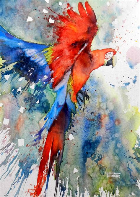 Gerard Hendriks 6004 Ara Bird Art Watercolor Art Watercolor Bird
