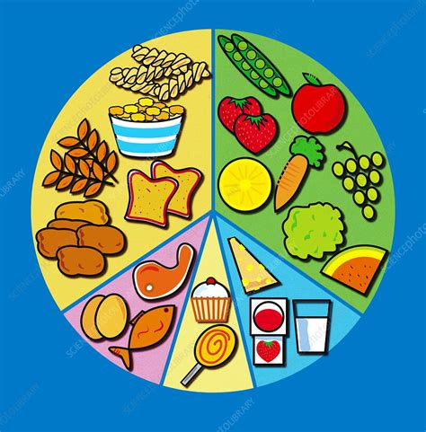 Balanced Diet Stock Image H1102734 Science Photo Library