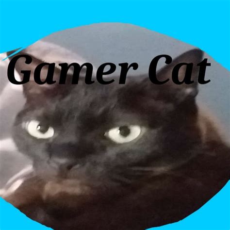 Gamer Cat Youtube