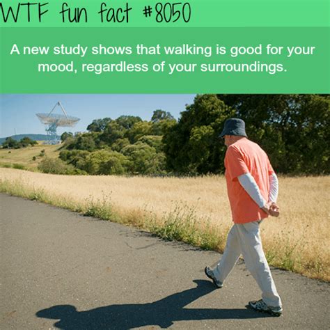 Wtf Facts Page 291 Of 1049 Funny Interesting And Weird Facts