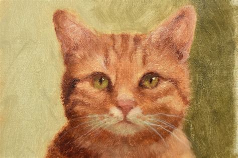 Easy Tabby Cat Painting Tutorial Step By Step Lesson