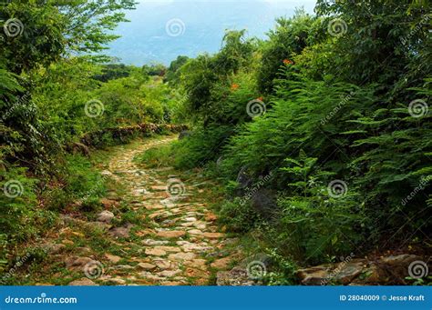Stone Path Through Wilderness Stock Image Image Of Barichara