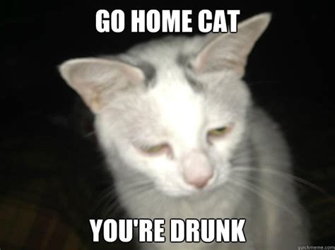 Drunk Cat Meme Memes Quickmeme