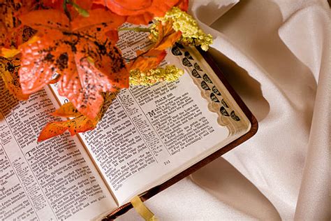 Fall Leaves For Thanksgiving With Cross And Open Bible Stock Photos