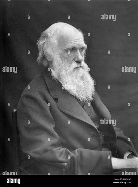 Charles Darwin Portrait Hi Res Stock Photography And Images Alamy