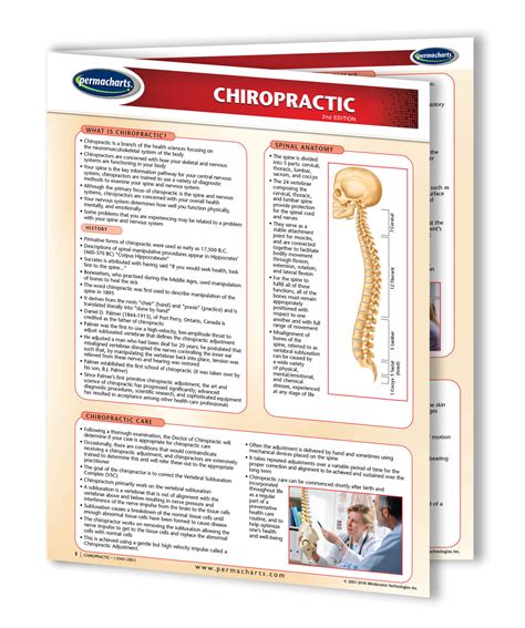 Chiropractic Medicine Chart Medical Quick Reference Chart Laminated