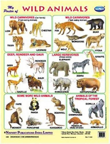 Buy Navneet Poster Wild Animals For Online In India Kheliya Toys