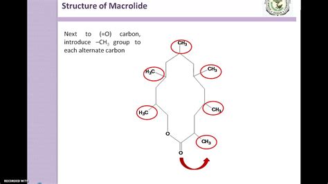 Macrolide Antibiotics Trick To Draw The Structure Youtube