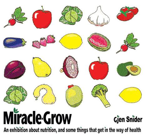 Miracle Grow Jsc Create