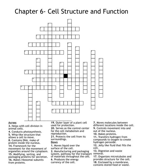 Chapter 3 Cell Structure And Function Crossword Puzzle Answer Key