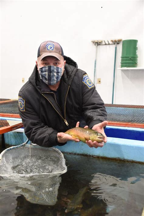Pennsylvania Fish And Boat Commission Hatcheries Raise Trout For Anglers