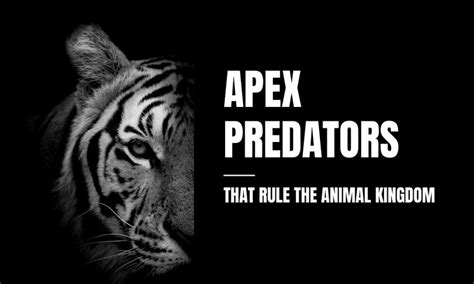 Top 12 Apex Predators In The World Natures Assassins