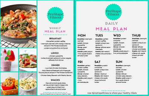 meal plan  macros pt   plan meals   week