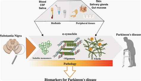 Disease Markers