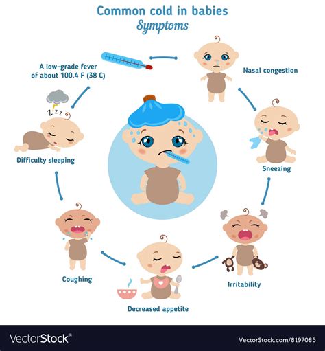 Common Cold In Babies Symptoms Royalty Free Vector Image