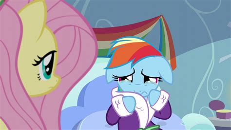 No Rainbow Please Dont Rainbow Dash My Little Pony Rainbow