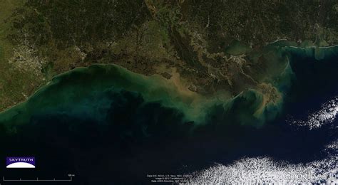 Gorgeous Gulf Of Mexico Today’s Modis Image Skytruth