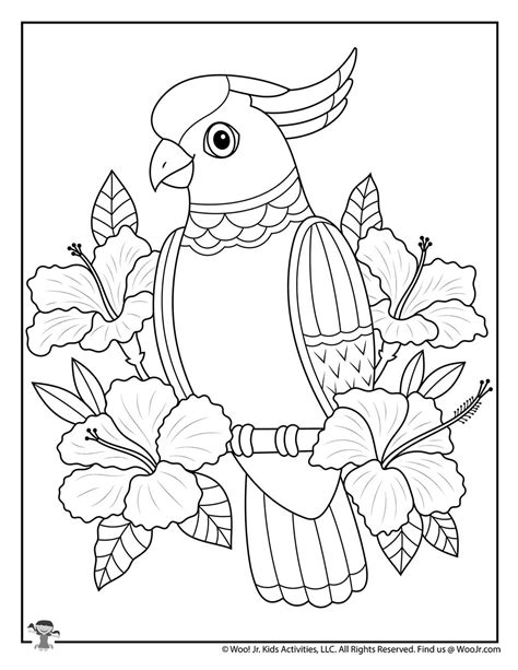 Tropical Adult Coloring Free Woo Jr Kids Activities Childrens