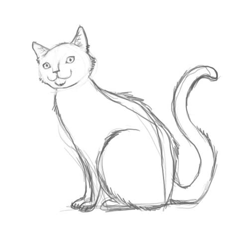 I'm not certain i'm the best for how to draw cats, simply because i have not put as much research into them (although i have just much in person studies). Cat Drawings - Cliparts.co