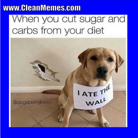 31 Funny Clean Dog Memes Factory Memes