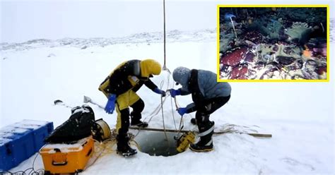 Scientists Used A Robot Beneath The Antarctic Sea Ice And Captured This