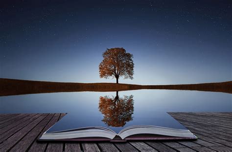 Win Your Life By Harnessing The Power Of Reflection By Rybo Chen