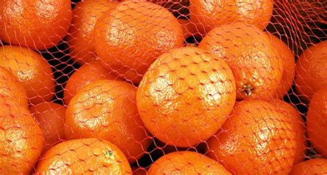 25 Types Of Nutritious Citrus Fruits How Many Have You Tried
