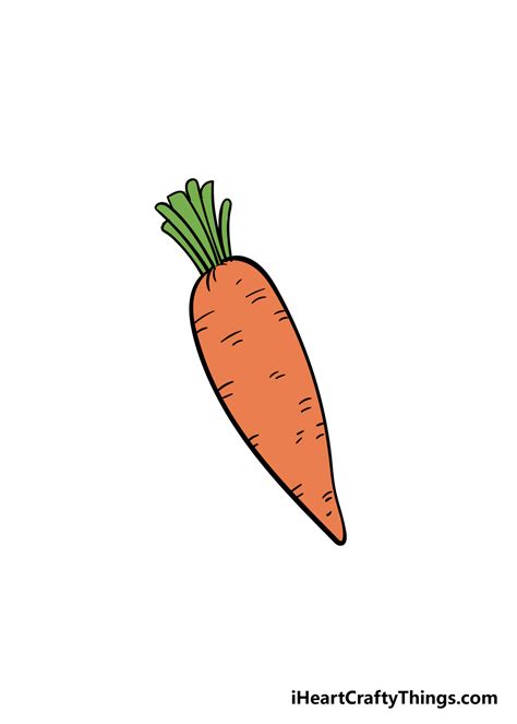 Carrot Drawing How To Draw A Carrot Step By Step
