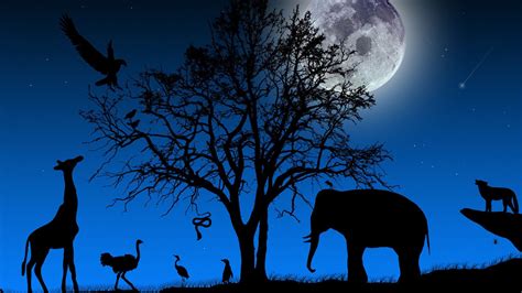 Full Moon Night In Jungle Hd 1080p Wallpapers Download Animals Matter