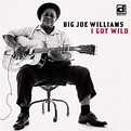 Big Joe Williams – I Got Wild – DELMARK RECORDS