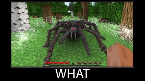 Minecraft Wait What Meme Part 170 Realistic Minecraft Spider Youtube
