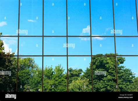 Glass Wall Reflection Of Trees In The Window Stock Photo Alamy