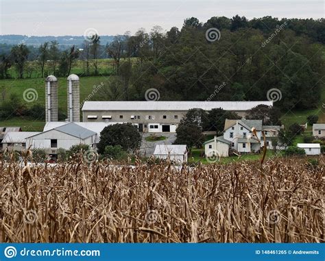 Amish Farm In Pennsylvania Countryside Stock Image Image Of Landscape