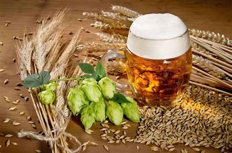 What Is Beer Made Of 4 Basic Ingredients