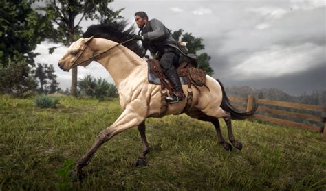 Red dead redemption 2 best horses and the best saddles, stirrups. #rdr2 Horses Tumblr posts - Tumbral.com