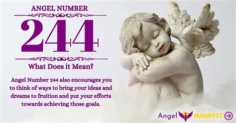 Angel Number 244 Meaning And Reasons Why You Are Seeing Angel Manifest