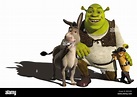 Shrek the Third Year: 2007 - USA Director: Chris Miller, Raman Hui ...