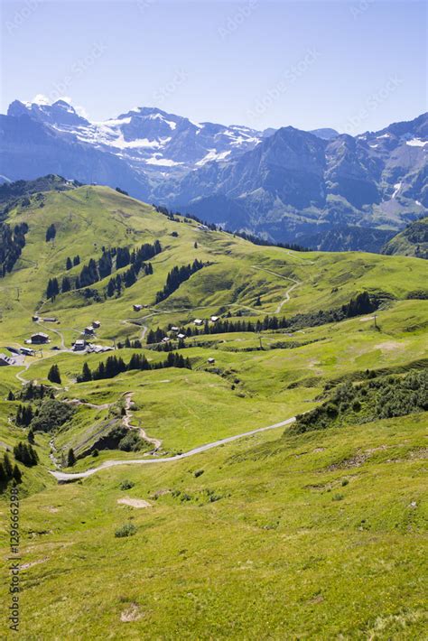 Bucolic Green Summer Alpine Landscape Swiss Alps Mountain Massif