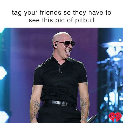 Pin By Iheartradio On Musical Memes Pitbull The Singer Pitbulls