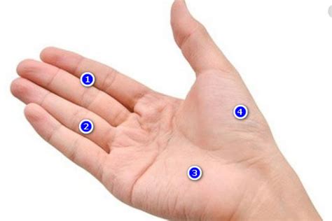 Telapak tangan gatal sebenarnya tanda penyakit atau gangguan kesehatan apa? 99 arti telapak tangan kiri gatal2 menurut primbon dan ...