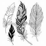 Feather Line Drawing Getdrawings sketch template