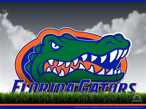 Florida Gators Football Wallpapers Wallpaper Cave