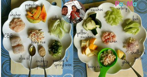 Jenis Makanan Yang Baik Untuk Bayi 7 Bulan Bagi Hal Baik
