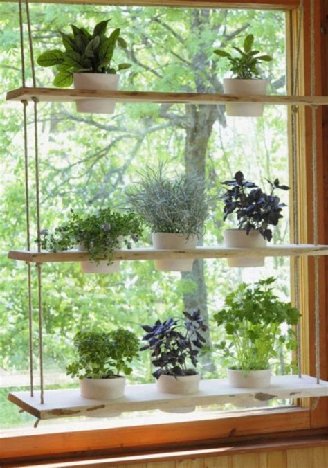 20 Smart Indoor Hanging Herb Garden Ideas Window Plants Herb Garden
