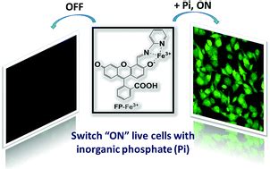 A New Fluorescent Chemosensor For Highly Selective And Sensitive